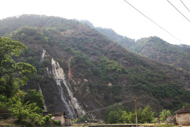 桑葚采摘 桑葚上市 桑甚果