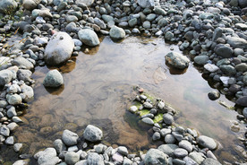 溪流  石滩