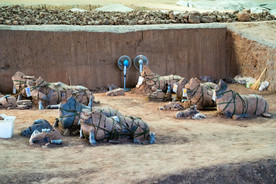 秦兵马俑一号坑遗址修复中战马俑