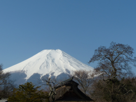 富士山