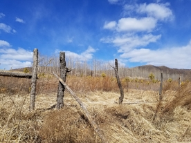 风景图片  蓝天白云