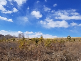 风景图片 山 蓝天白云