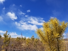 风景图片 山水 蓝天白云