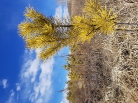 风景图片 山水 蓝天白云