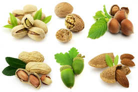 坚果