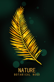 轻奢羽毛装饰画