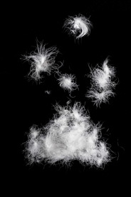 海岸风景摄影图