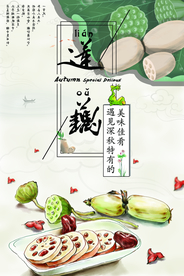 莲藕食材活动宣传海报素材