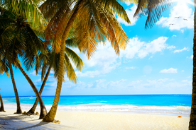 海岸风景摄影图