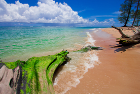 海岸风景摄影图