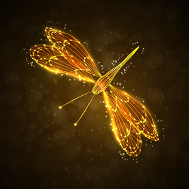 矢量动物 矢量植物 插画 手绘