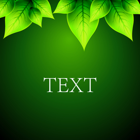 矢量动物 矢量植物 插画 手绘