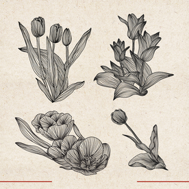 矢量动物 矢量植物 插画 手绘