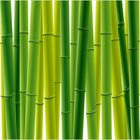 矢量动物 矢量植物 插画 手绘