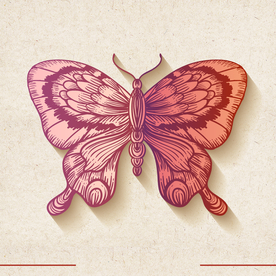 矢量动物 矢量植物 插画 手绘