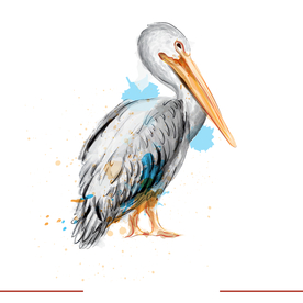 矢量动物 矢量植物 插画 手绘