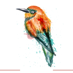 矢量动物 矢量植物 插画 手绘