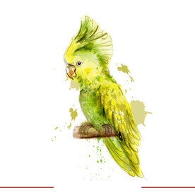 矢量动物 矢量植物 插画 手绘