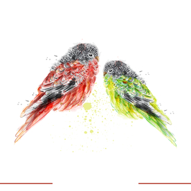 矢量动物 矢量植物 插画 手绘