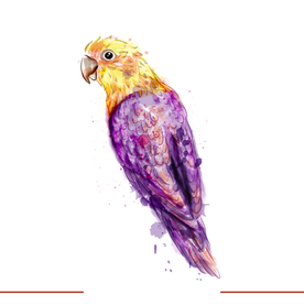 矢量动物 矢量植物 插画 手绘