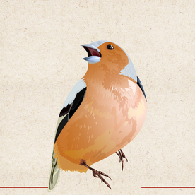 矢量动物 矢量植物 插画 手绘