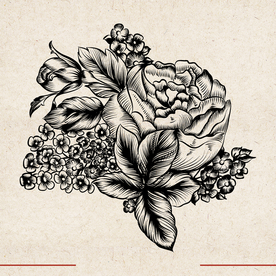 矢量动物 矢量植物 插画 手绘