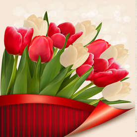 矢量动物 矢量植物 插画 手绘