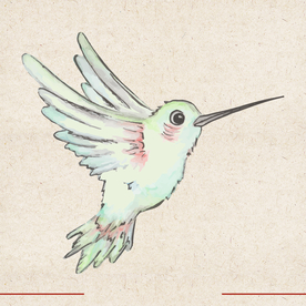 矢量动物 矢量植物 插画 手绘