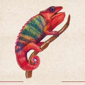 矢量动物 矢量植物 插画 手绘