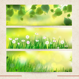 矢量动物 矢量植物 插画 手绘