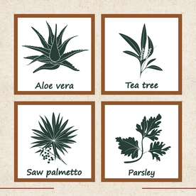 矢量动物 矢量植物 插画 手绘