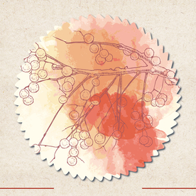 矢量动物 矢量植物 插画 手绘