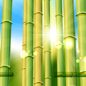 矢量动物 矢量植物 插画 手绘