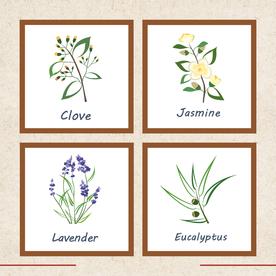 矢量动物 矢量植物 插画 手绘