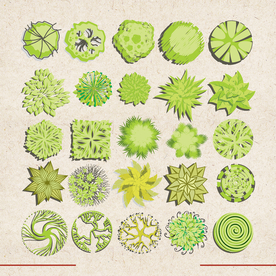 矢量动物 矢量植物 插画 手绘