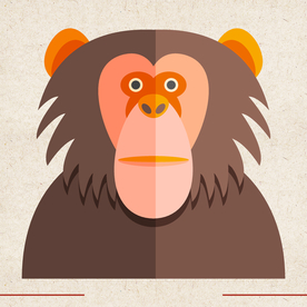 矢量动物 矢量植物 插画 手绘