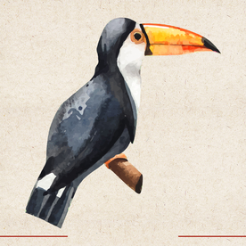 矢量动物 矢量植物 插画 手绘