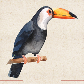 矢量动物 矢量植物 插画 手绘