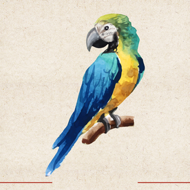 矢量动物 矢量植物 插画 手绘