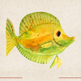 矢量动物 矢量植物 插画 手绘