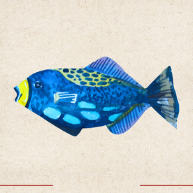 矢量动物 矢量植物 插画 手绘