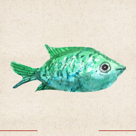 矢量动物 矢量植物 插画 手绘