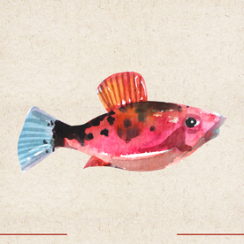 矢量动物 矢量植物 插画 手绘