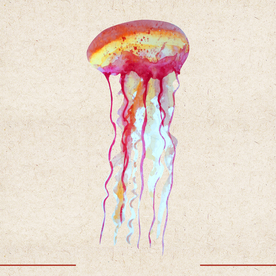 矢量动物 矢量植物 插画 手绘