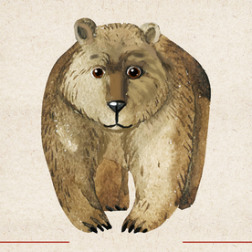 矢量动物 矢量植物 插画 手绘