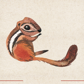 矢量动物 矢量植物 插画 手绘