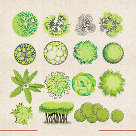 矢量动物 矢量植物 插画 手绘