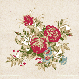 矢量动物 矢量植物 插画 手绘