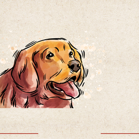 矢量动物 矢量植物 插画 手绘