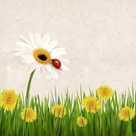 矢量动物 矢量植物 插画 手绘